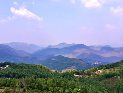Yercaud Odyssey: Unveiling the Top 10 Must-See Attractions in the Enchanting Hill Station