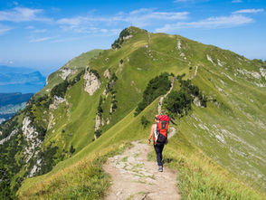 Celebrating Small Wins: The Importance of Milestones on Your Road to Recovery