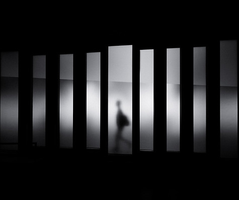 Image by David Werbrouck