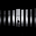 Image by David Werbrouck