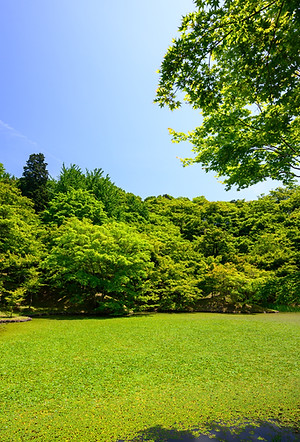 Image by Kouji Tsuru