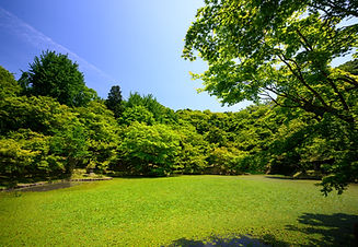 Image by Kouji Tsuru