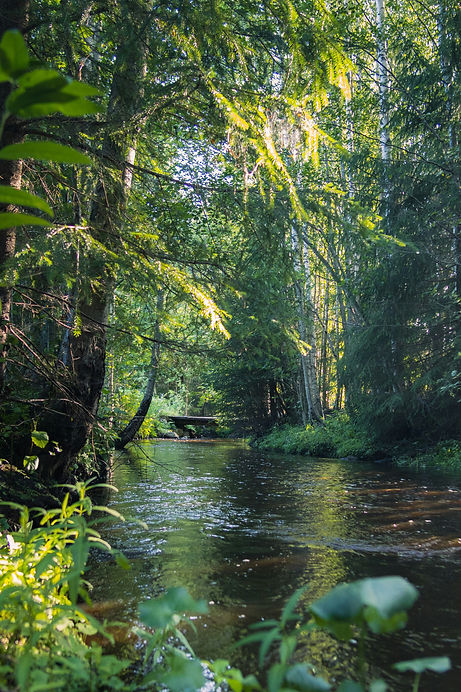 Image by Juho Luomala