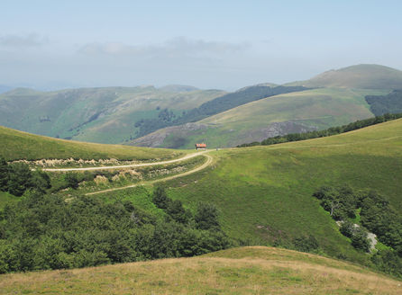CAMINO PRIMITIVO