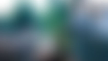 What do your visitors want?