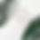 Thumbnail: Parasite Cleanse KIT + 30 Days Support + Food Guide