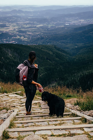 Image by Marcin Jozwiak