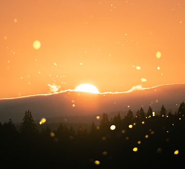 Image by Cristofer Maximilian