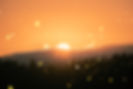 Image by Cristofer Maximilian