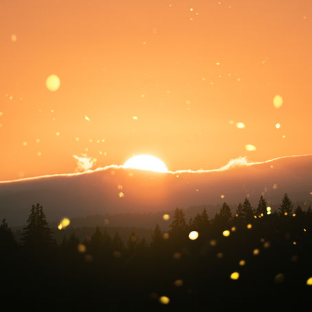 Attaquer la terre et le soleil de Mathieu Belezi, un roman puissant sur la colonisation de l'Algérie