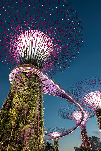 Image by Hu Chen