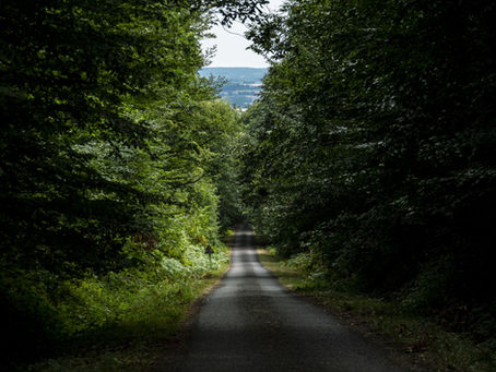La marche et ses bienfaits