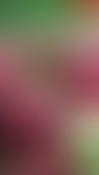 5 maneiras pelas quais o MD Anderson está pesquisando a ligação entre comida e câncer