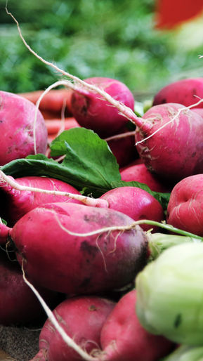 5 maneiras pelas quais o MD Anderson está pesquisando a ligação entre comida e câncer