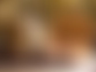 The World’s Sweetest City and Furry Friends to Boot! | Happy News| Newsround