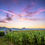 Miniatura: Belgium, Luxembourg and Alsace 11 Day