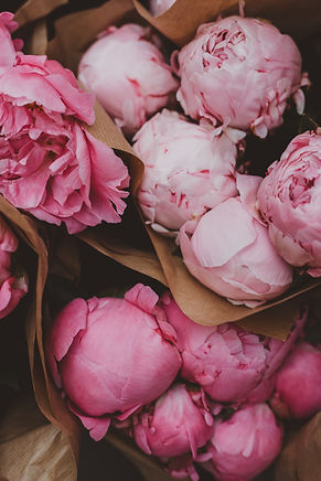 Image by Ellieelien