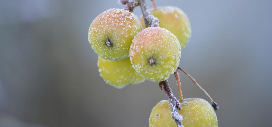 Image by Natalia Shiel