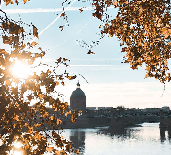 Optimisation fiscale Toulouse (31). Le cabinet Fiscalia vous conseille en optimisation fiscale, défiscalisation et en investissement immobilier à Toulouse. Un expert vous accompagne dans l'élaboration de votre stratégie fiscale et patrimoniale.