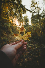 Image by Anthony Intraversato