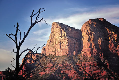 Sedona Red Rocks State Park tree cliffs sandstone