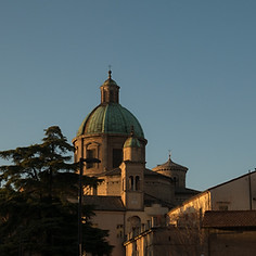 Image by Adrian Negura