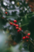 Weihnachtlicher Türkranz im Genuss Garten Bingen