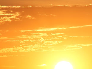 Heat Waves and Keeping your Pets Safe!