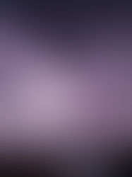 Стоимость недавних ураганов оценили в Швейцарии