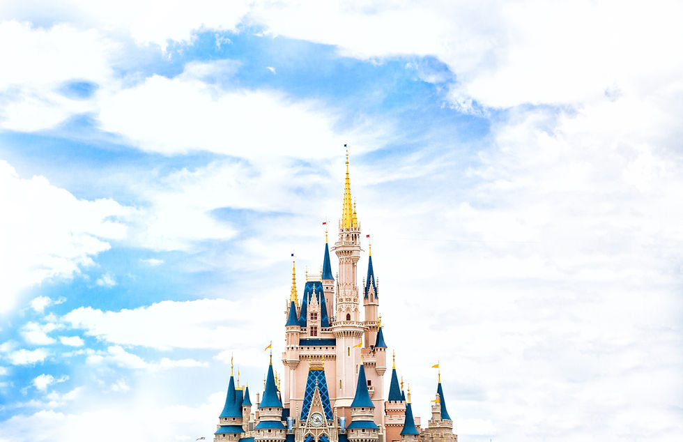 Mega-Beaches Travel Disney Vacation Specialist