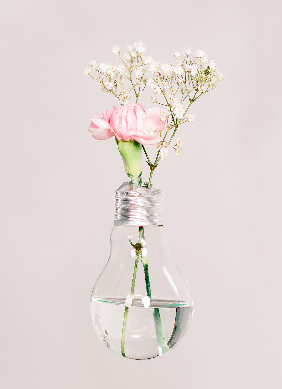 Pink rose and white baby's breath in a water-filled light bulb vase, set against a soft pastel background. Calm and minimalist mood.