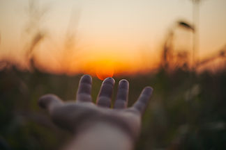 Image by Alexei Scutari