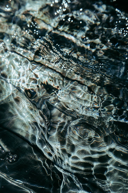 Image by Ave Calvar