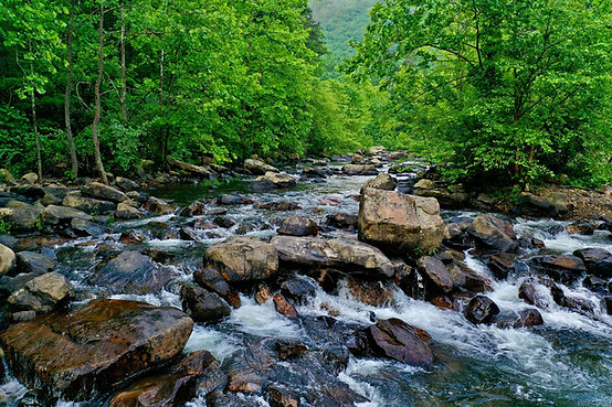Image by Mitchell Kmetz