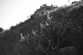 Image by KV