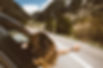 Image de averie woodard