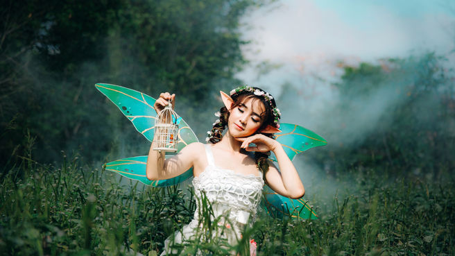 The Magic of the Fairies and the Fae Folk