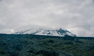 kilimanjaro