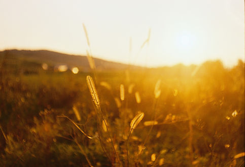 Image by Andrei Lasc