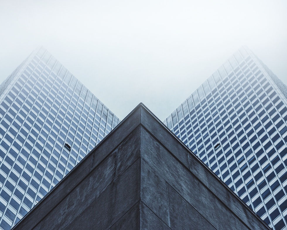 Image by Patrick Tomasso