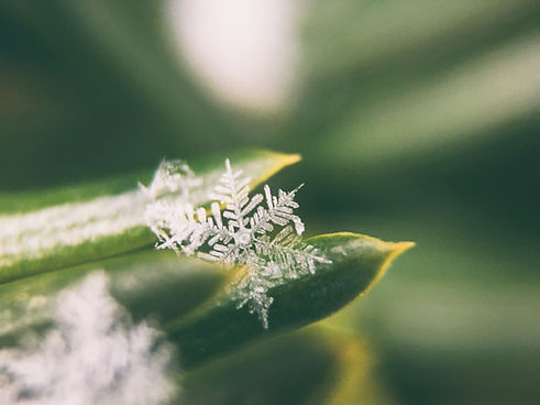 Image by Aaron Burden