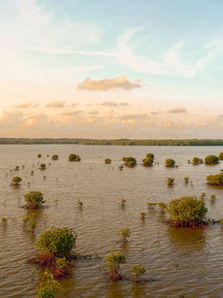 וְהַמַּבּוּל הָיָה וְאֵין מֵעִיד