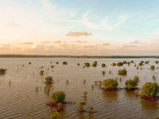 Rethinking Hurricane Protection: Why Parametric Insurance Matters for Climate Adaptation