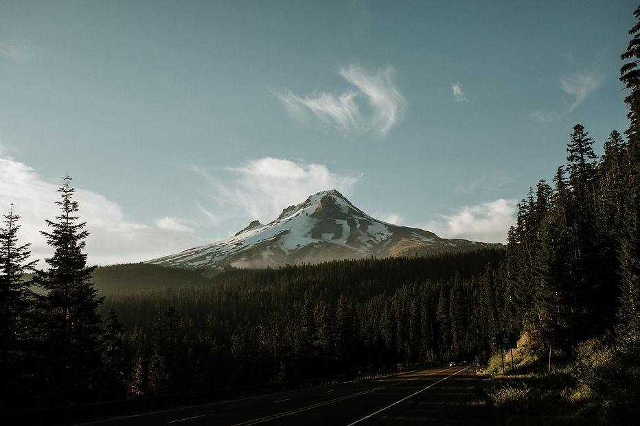Image by Mark Tuzman