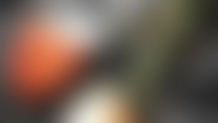 Fermentation Friday™ - Harvesting and Fermenting Cocoa Beans From “Cacao”