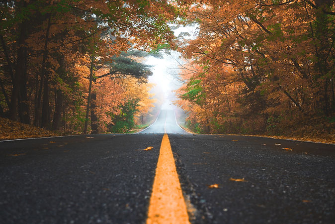 Image by Patrick Tomasso
