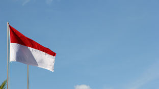 5 Common Mistakes When Hiring Freelancers in Bali
