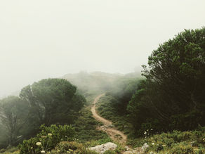 From Lab Coat to Business Suit: An Introvert's Path to Entrepreneurial Triumph!