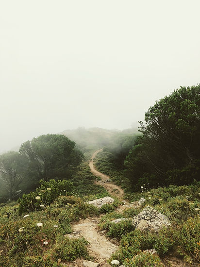 Image by Martino Pietropoli