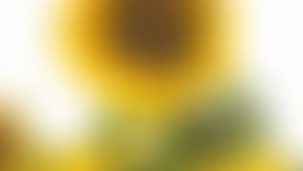 You're Unique: Here's How to Humble-Brag